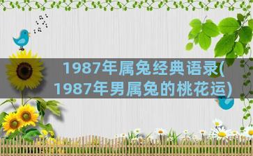 1987年属兔经典语录(1987年男属兔的桃花运)