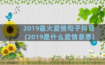 2019最火爱情句子抖音(2019是什么爱情意思)