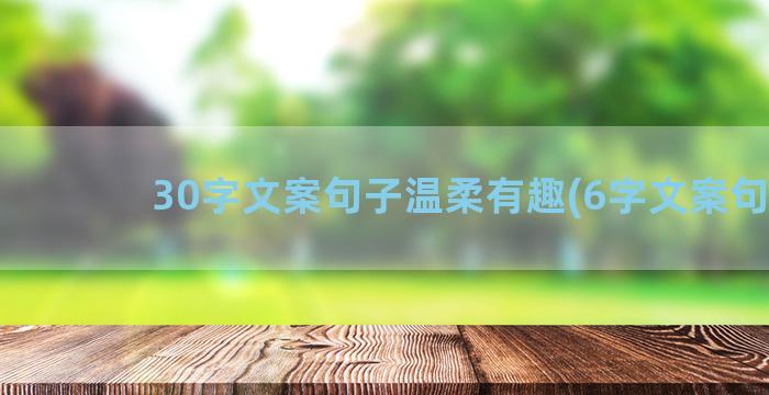 30字文案句子温柔有趣(6字文案句子)