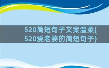 520简短句子文案温柔(520爱老婆的简短句子)