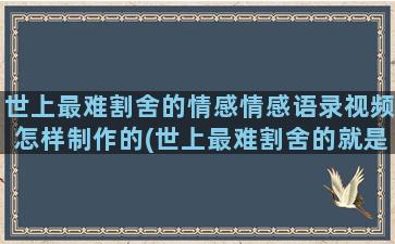 世上最难割舍的情感情感语录视频怎样制作的(世上最难割舍的就是亲情)