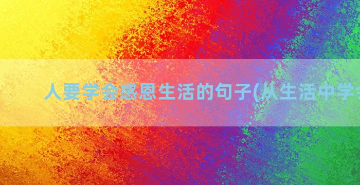 人要学会感恩生活的句子(从生活中学会感恩)