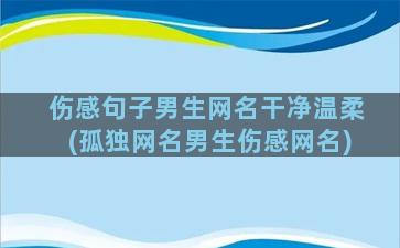 伤感句子男生网名干净温柔(孤独网名男生伤感网名)