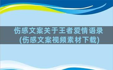 伤感文案关于王者爱情语录(伤感文案视频素材下载)