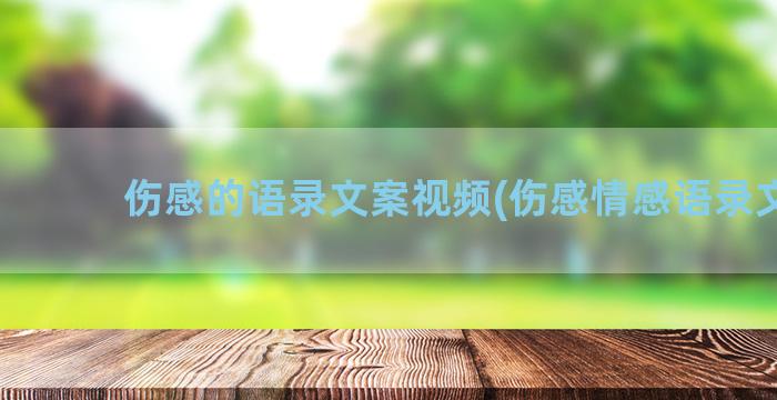 伤感的语录文案视频(伤感情感语录文案)