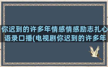 你迟到的许多年情感情感励志扎心语录口播(电视剧你迟到的许多年演员表)