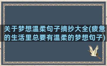 关于梦想温柔句子摘抄大全(疲惫的生活里总要有温柔的梦想句子)