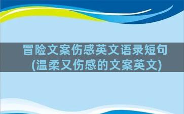 冒险文案伤感英文语录短句(温柔又伤感的文案英文)