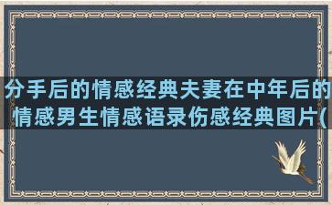 分手后的情感经典夫妻在中年后的情感男生情感语录伤感经典图片(分手后的情感变化)