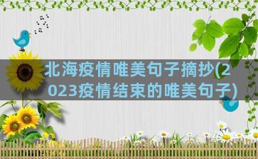 北海疫情唯美句子摘抄(2023疫情结束的唯美句子)