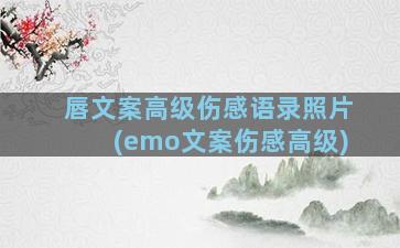 唇文案高级伤感语录照片(emo文案伤感高级)