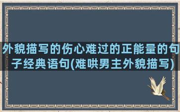 外貌描写的伤心难过的正能量的句子经典语句(难哄男主外貌描写)