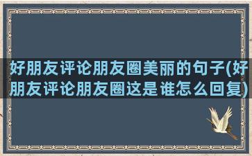 好朋友评论朋友圈美丽的句子(好朋友评论朋友圈这是谁怎么回复)