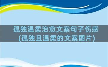 孤独温柔治愈文案句子伤感(孤独且温柔的文案图片)