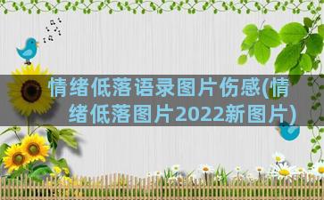 情绪低落语录图片伤感(情绪低落图片2022新图片)