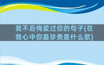 我不后悔爱过你的句子(在我心中你最珍贵是什么歌)