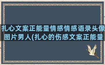 扎心文案正能量情感情感语录头像图片男人(扎心的伤感文案正能量)