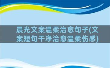 晨光文案温柔治愈句子(文案短句干净治愈温柔伤感)