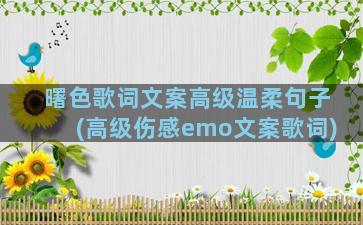 曙色歌词文案高级温柔句子(高级伤感emo文案歌词)