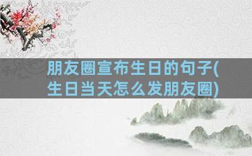 朋友圈宣布生日的句子(生日当天怎么发朋友圈)