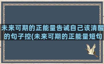 未来可期的正能量告诫自己该清醒的句子控(未来可期的正能量短句)