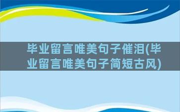 毕业留言唯美句子催泪(毕业留言唯美句子简短古风)