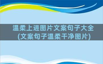 温柔上进图片文案句子大全(文案句子温柔干净图片)