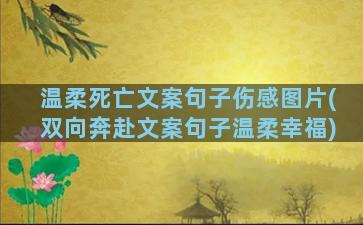 温柔死亡文案句子伤感图片(双向奔赴文案句子温柔幸福)