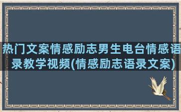 热门文案情感励志男生电台情感语录教学视频(情感励志语录文案)