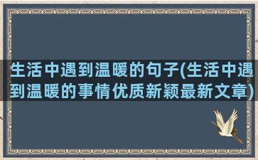 生活中遇到温暖的句子(生活中遇到温暖的事情优质新颖最新文章)