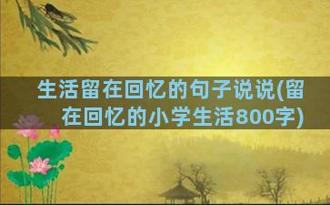 生活留在回忆的句子说说(留在回忆的小学生活800字)