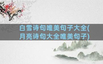 白雪诗句唯美句子大全(月亮诗句大全唯美句子)