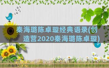 秦海璐陈卓璇经典语录(创造营2020秦海璐陈卓璇)