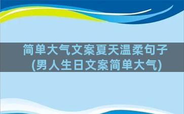 简单大气文案夏天温柔句子(男人生日文案简单大气)