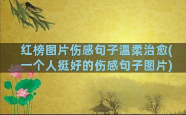 红榜图片伤感句子温柔治愈(一个人挺好的伤感句子图片)