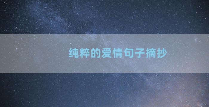 纯粹的爱情句子摘抄