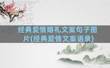 经典爱情婚礼文案句子图片(经典爱情文案语录)