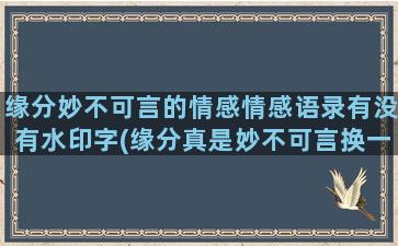 缘分妙不可言的情感情感语录有没有水印字(缘分真是妙不可言换一种说法)