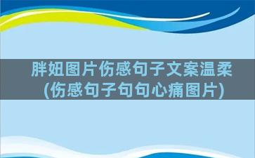 胖妞图片伤感句子文案温柔(伤感句子句句心痛图片)