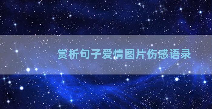 赏析句子爱情图片伤感语录