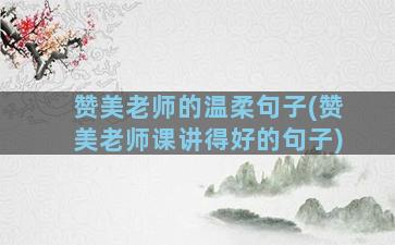 赞美老师的温柔句子(赞美老师课讲得好的句子)