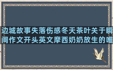 边城故事失落伤感冬天茶叶关于瞬间作文开头英文摩西奶奶放生的唯美语录