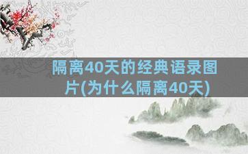 隔离40天的经典语录图片(为什么隔离40天)