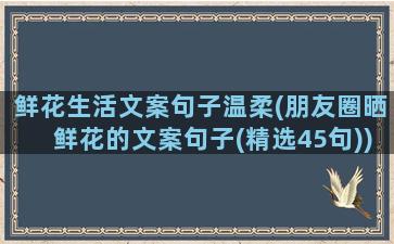 鲜花生活文案句子温柔(朋友圈晒鲜花的文案句子(精选45句))